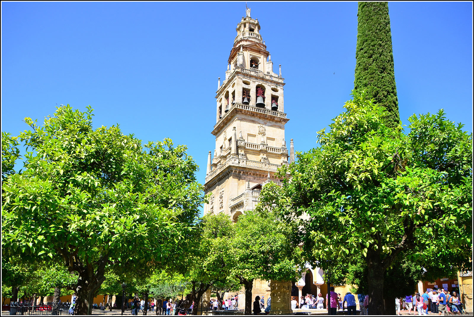 Cordoba